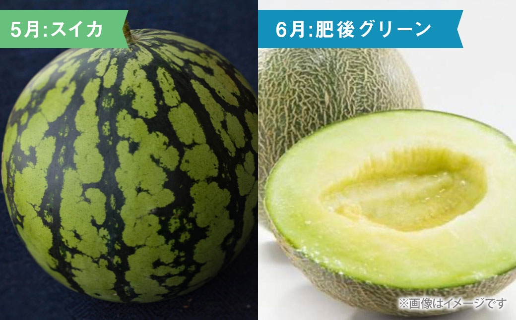 熊本の旬のフルーツお届け便6ヶ月連続定期便年6回コース