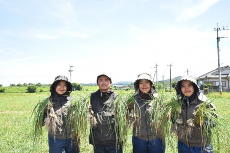 ｼｬｷｼｬｷ！純国産甘らっきょう1.3kg(130g×10)おつまみ 野菜 旬 漬物 おつけもの パック 小分け 便利 常備菜