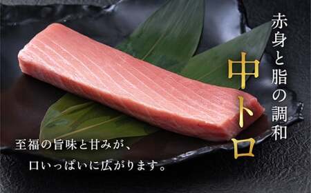 【定期便4回】冷蔵でお届け！人気の生本マグロ堪能セット（柵どり） 計750g × 4回お届け （毎月お届け）
