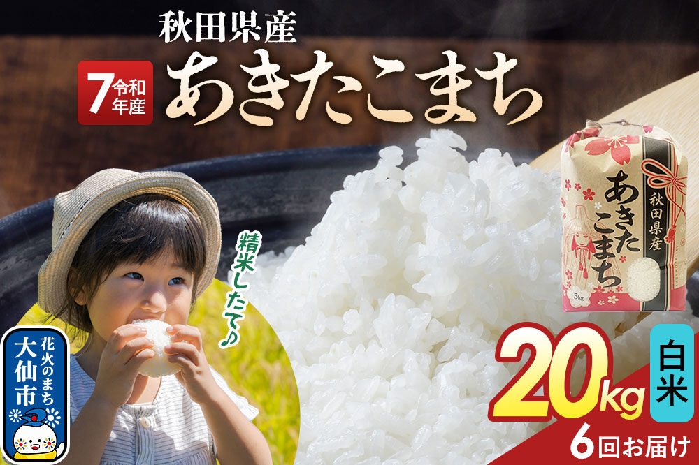 
                  《定期便6ヶ月》【白米】あきたこまち 20kg（5kg×4） 秋田県産 令和7年産  こまちライン 秋田県 大仙市産 [秋田 お米 米どころ あきたこまち こまちライン]
                