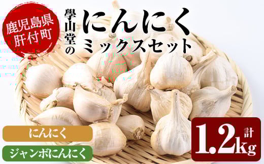 
                  A69004 ＜先行予約受付中！2026年6月中旬以降準備が整い次第順次発送＞學山堂のにんにくミックスセット(計1.2kg)鹿児島 国産 ジャンボにんにく ニンニク 大蒜 ガーリック 粒が大きい 野菜 薬味 ハーブ【ニンニクの學山堂】
                