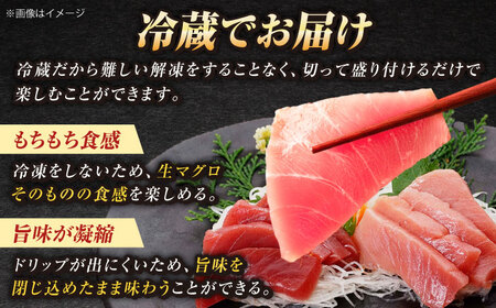 【全3回定期便】五島列島産養殖生本かみまぐろ 赤身 中トロ 計約700g[RBP067] 本マグロ 本まぐろ 定期便 本マグロ 本まぐろ 定期便 本マグロ 本まぐろ 定期便九州 長崎