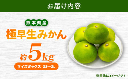 【先行予約】 極早生みかん 2S-2L 約5kg みかん 蜜柑 柑橘 フルーツ 果物 【日本フルーツ株式会社】[ZFJ054]