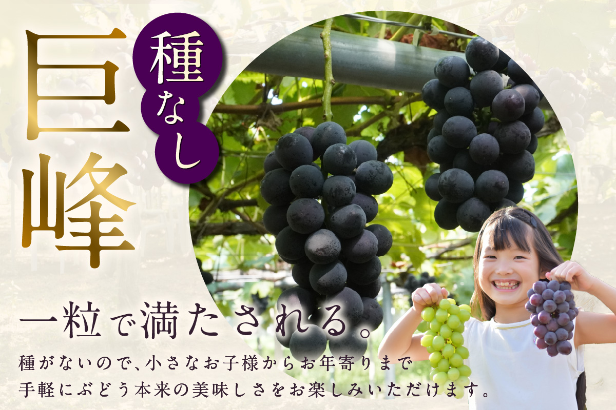 【先行予約】【2026年8月発送】東浦町産 種なし巨峰とシャインマスカット(約1kg)｜ぶどう 葡萄 ブドウ 巨峰 グレープ 種なし シャインマスカット マスカット 受領歴 贈答 贈り物 果物 新鮮 