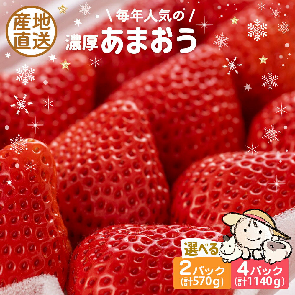 【ふるさと納税】【先行予約】あまおう 570g 1140g 2パック 4パック ココロファームの濃厚あまおう【2025年12月中旬～翌4月中旬発送】《豊前市》【ココロファーム】[VAE009] 苺 いちご あまおう 福岡県産