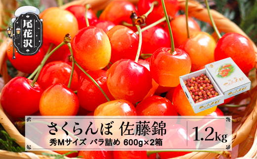 さくらんぼ 佐藤錦 秀Mサイズ バラ詰め 1.2kg(600g×2箱) 2023年産 山形県産