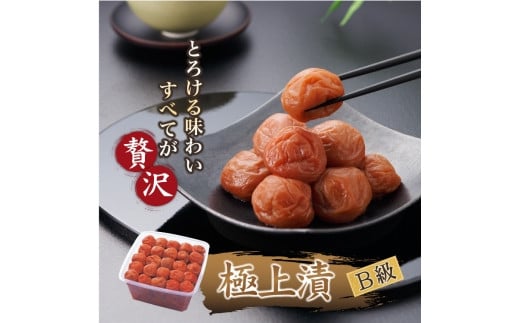 徳用　紀州極上漬 (1.5kg×1箱）【Kn6】