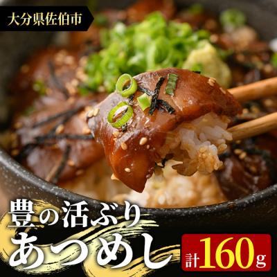 ふるさと納税 佐伯市 ＜お試し用＞海鮮 豊の活 ブリ漬け丼 あつめし (計160g・80g×2袋)