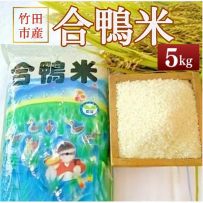 ふるさと納税 竹田市 竹田市産 合鴨米 白米 5kg