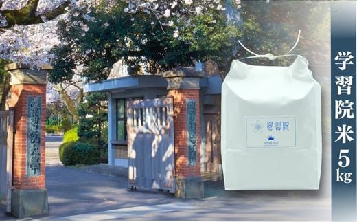 《令和７年産》学習院米 5kg
