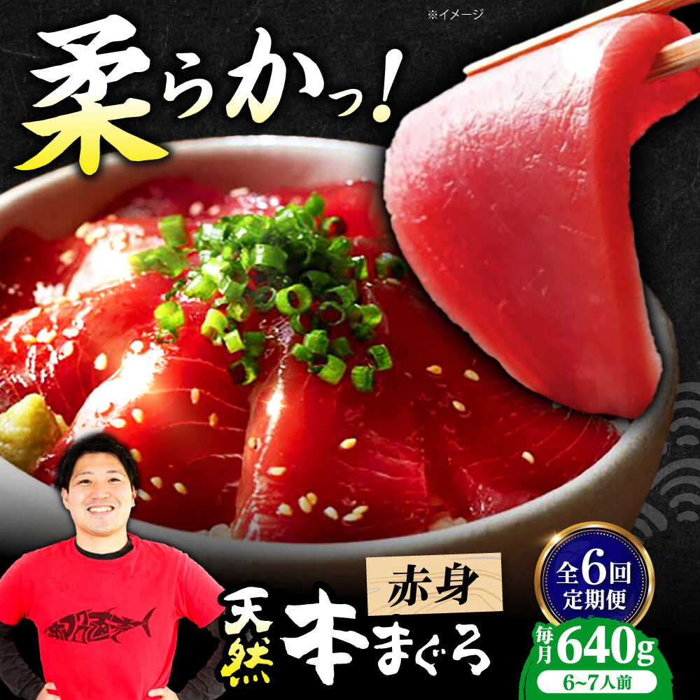 【ふるさと納税】【全6回定期便】極上！たね熟天然本まぐろ赤身(640g) 天然 マグロ 鮪 赤身 刺身 魚 魚介 大阪府高槻市/本まぐろ直売所[AOCE017]