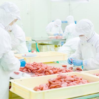 ふるさと納税 みやこ町 海千の「徳用明太子セット(小切れ)」無着色500g×2 |  | 02