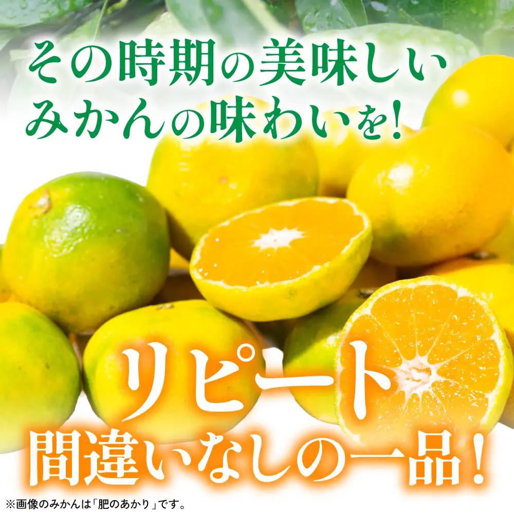 【先行予約】みかん 数量限定 八代市東陽町産の季節のみかん5kg みかん 【2026年9月下旬より順次発送】 