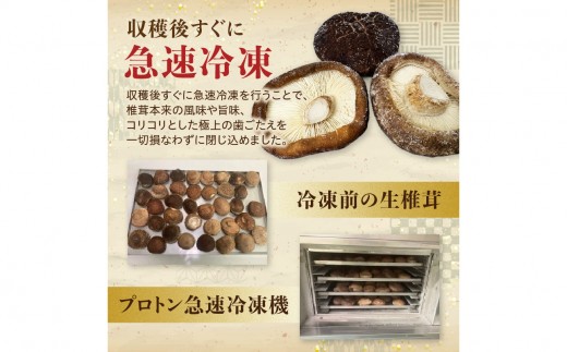 冷凍 原木しいたけ（冬菇）1kg 椎茸 どんこ 冷凍 ドリップ 個別包装 国産 出汁 料理 天然もの きのこ 旨味 煮物 天ぷら 炊き込みご飯 F07040