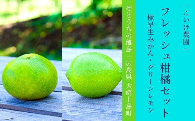 
[10月発送] 大崎上島産 フレッシュ柑橘セット 極早生みかん/グリーンレモン 約4kg
