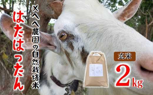 【先行予約】 メヘヘ農園の自然栽培米はたはったん（玄米）2kg