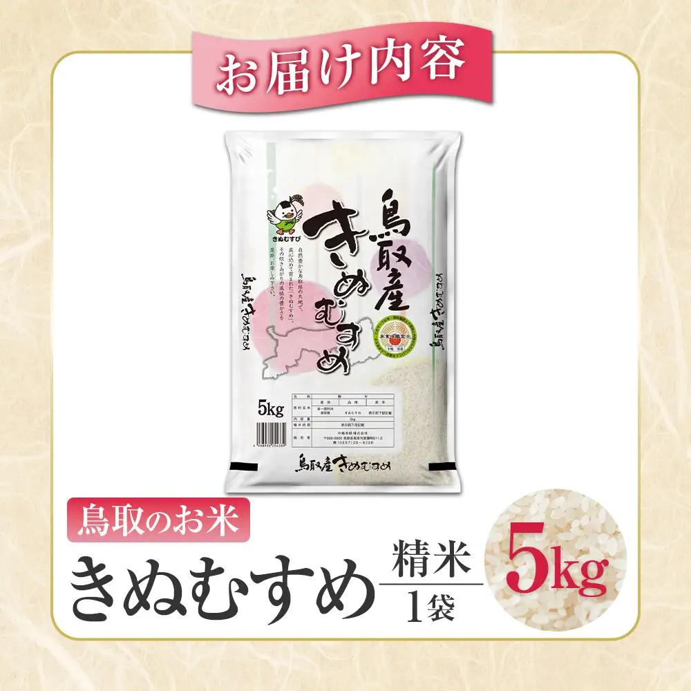 鳥取のお米 きぬむすめ 5kg 精米 きぬむすめ