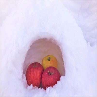 蔵出し春りんご　葉とらずサンふじ　小玉　約3キロ(13個前後入)　実が硬めで食感良好【配送不可地域：離島】【1721055】