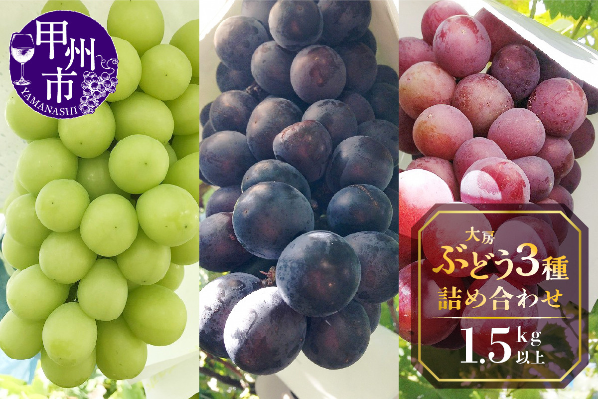 
            甲州屋厳選 大房ぶどう3種詰め合わせ 1.5kg以上【2025年発送】B15-130 【シャインマスカット ぶどう 葡萄 ブドウ 令和7年発送 期間限定 山梨県産 甲州市 フルーツ 果物】
          
