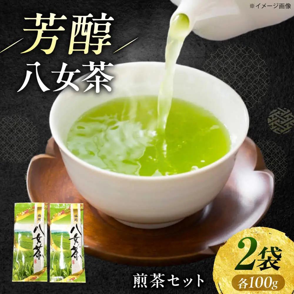 八女茶 煎茶セット 100g×2袋  VEH016 お茶 