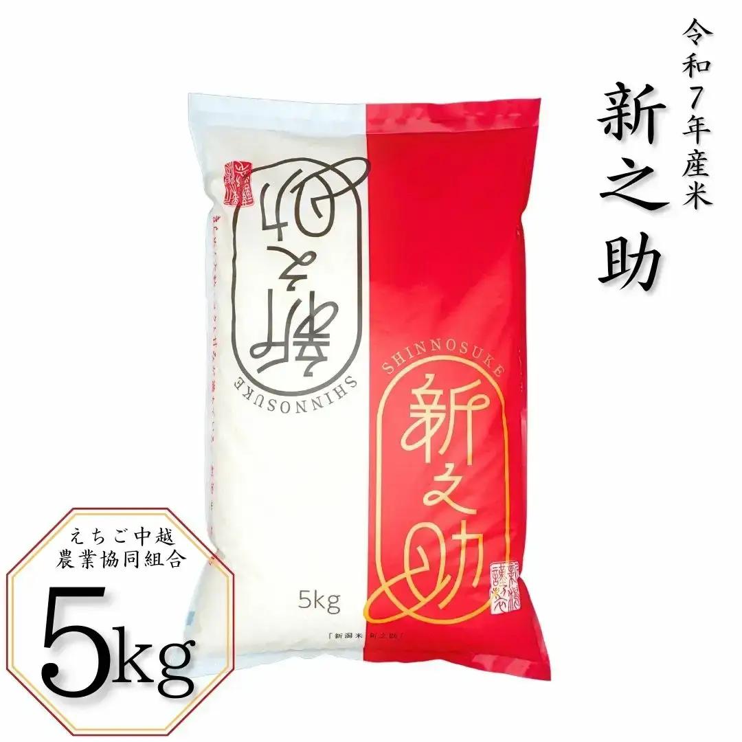 新潟県産 新之助 5kg 白米 令和7年 新之助 JAえちご中越