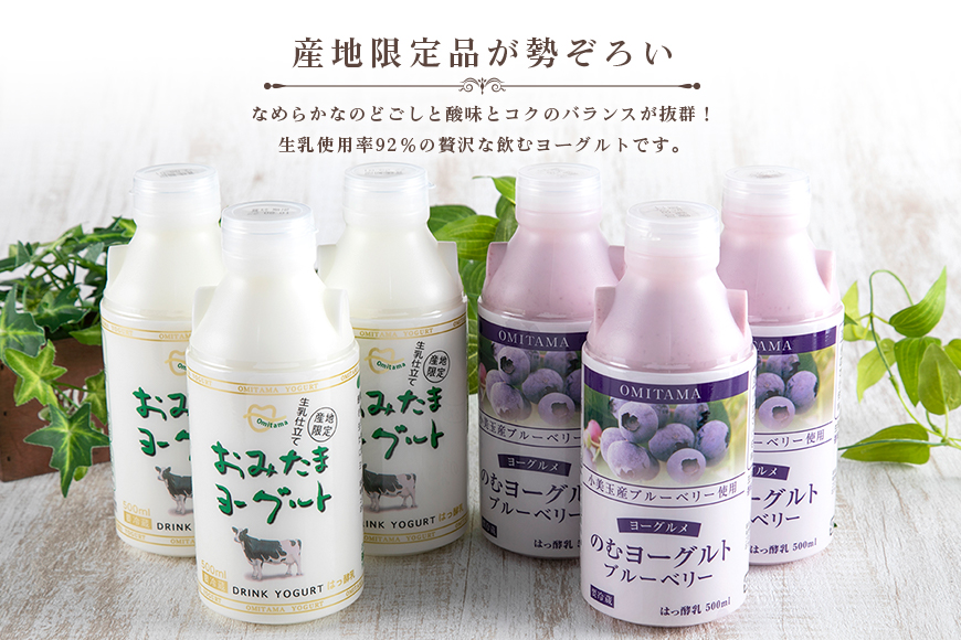 【2回定期便】 おみたまドリンクヨーグルトセット 500ml×6本×2回