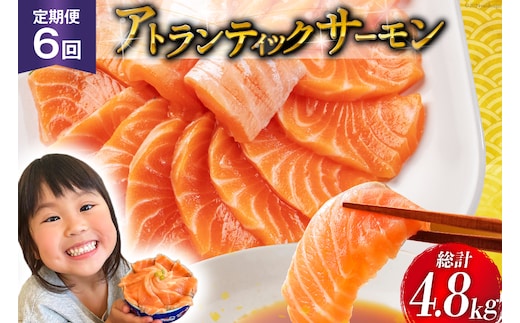 
										
										定期便 《6ヶ月連続お届け》ノルウェー産 アトランティックサーモン 総重量800g×6回 総計4.8kg [カネダイ 宮城県 気仙沼市 20564519] 魚 魚介類 アトラン サーモン 刺身 小分け 鮭 レビューキャンペーン
									