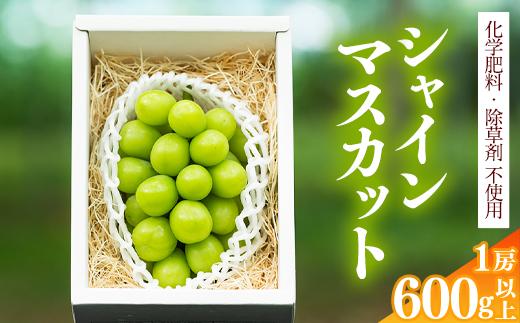 【厳選の1房】こだわりのぶどう『シャインマスカット 600g以上１房』  山形県産 【化学肥料 除草剤不使用】＜安全安心の栽培＞【2025年9月上旬頃～10月上旬頃発送予定】※ 配送不可 沖縄・離島　010-B-AF009