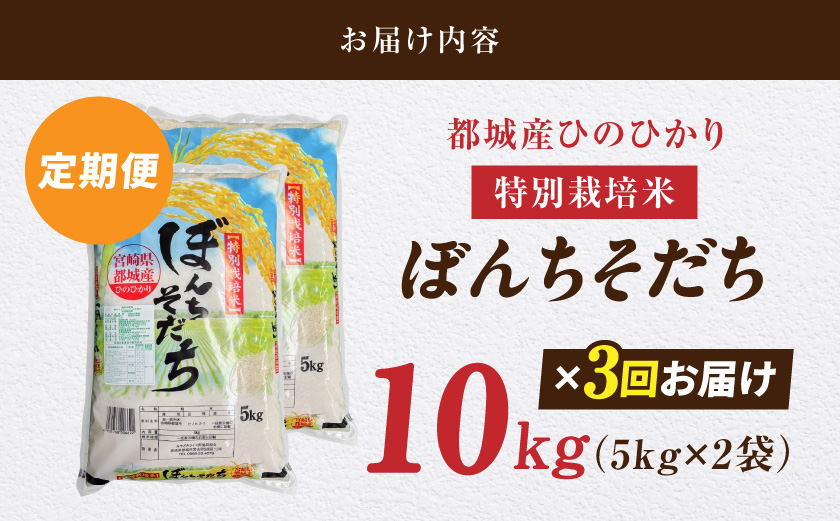 ≪3回お届け!≫都城産ひのひかり特別栽培米「ぼんちそだち」10kg定期便_T84-3-N501