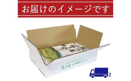 【先行予約】【定期便／6ヶ月】魚沼産川西こしひかり5kg  令和7年度米＜令和7年10月下旬～発送予定＞ 