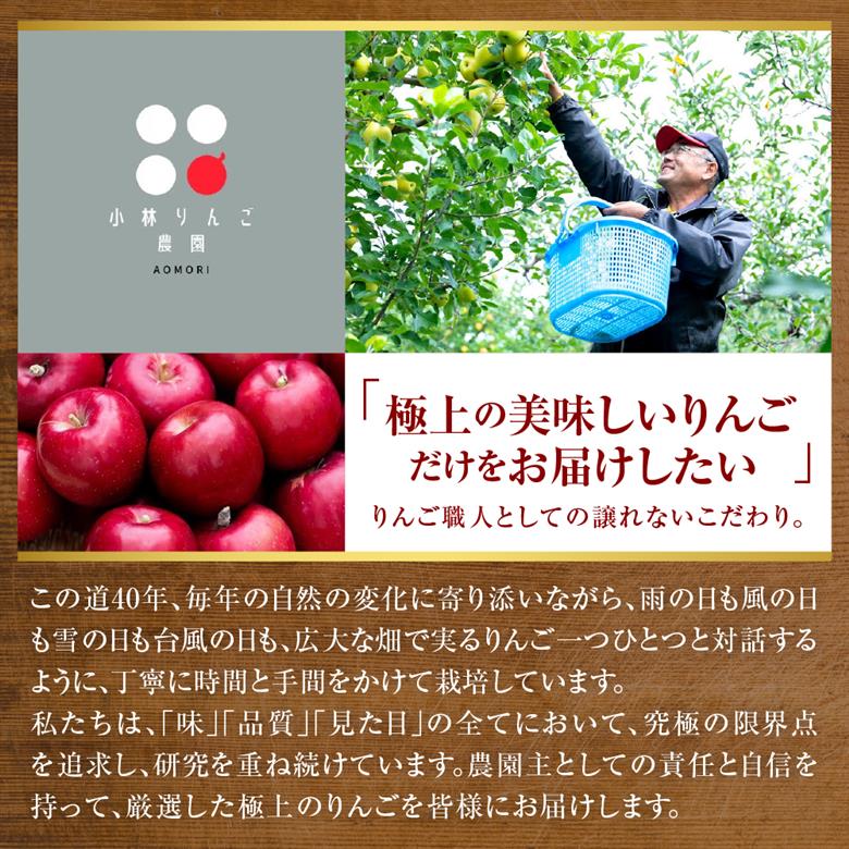 りんご　青森 トキ 訳あり 5kg 程度 【 10月 中旬以降順次 発送 】 とき 農家直送 青森県 五所川原市 傷 キズ ワケアリ 林檎 リンゴ apple 黄色