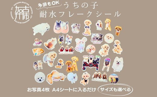 
                  うちの子耐水フレークシール《 犬 猫 ペット シール フレークシール 耐水 オリジナル セミオーダー かわいい おすすめ 》【133013N000】
                