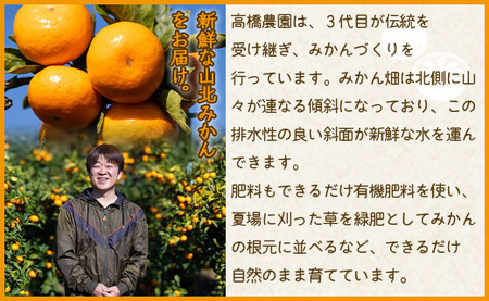 高橋農園【訳あり】山北みかん 露地(Ｓ～Ｍ)Ｂ品 10kg - 果物 フルーツ ミカン 蜜柑 柑橘 家庭用 自宅用 新鮮 農家直送 露地 th-0010