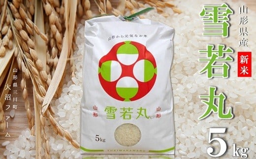 【令和7年産・精米】大沼ファームの雪若丸5kg　※10月中旬頃から順次配送