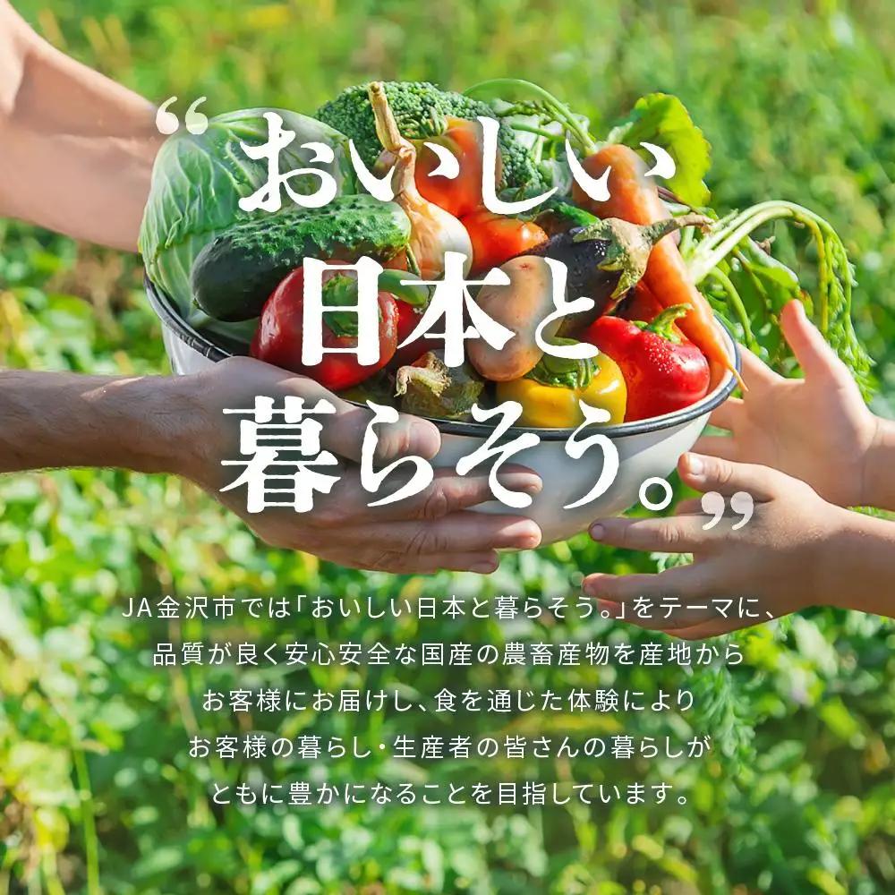 JA金沢市 季節の加賀野菜・金沢地物野菜セット 野菜詰め合わせ
