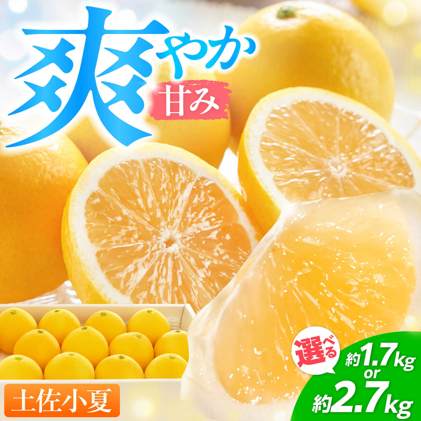 【ふるさと納税】【先行予約・選べる内容量】厳選 土佐小夏 約1.7kg・約2.7kg〈2027年5月下旬頃〜2027年8月上旬頃まで発送〉 / 小夏 土佐小夏 柑橘 果物 フルーツ デザート ビタミン 季節限定 期間限定 旬 初夏 高知 高知県 土佐 【L＋武田青果】[ATIT001]
