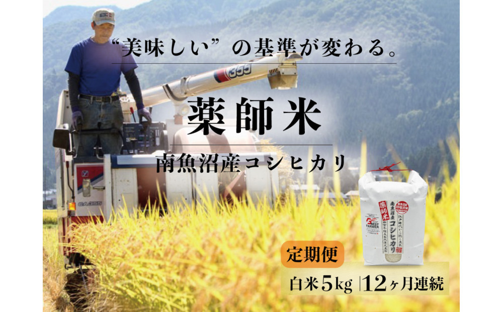 定期便全12回【南魚沼市食味コンテスト優秀賞】南魚沼産コシヒカリ 白米5kg ｜薬師米 令和7年産【定期便 銘柄米 ブランド米 精米 こしひかり コシヒカリ 魚沼産 新潟米 産地直送 お米 米 こめ コメ ご飯 御飯 ごはん】
