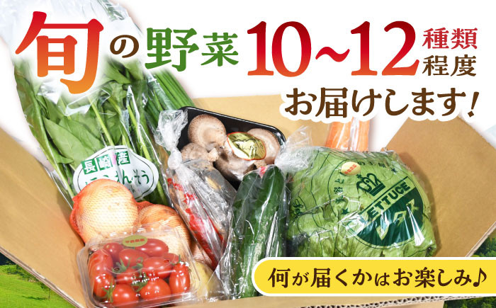諫早のんのこ彩菜 詰め合わせ 10～12品目 季節 旬 野菜 やさい 春野菜 夏野菜 秋野菜