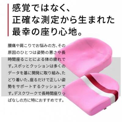 ふるさと納税 小牧市 〈訳あり〉スポッとクッション(ピンク×ストライプ)　長時間座っても疲れにくい[023M08-02] |  | 01