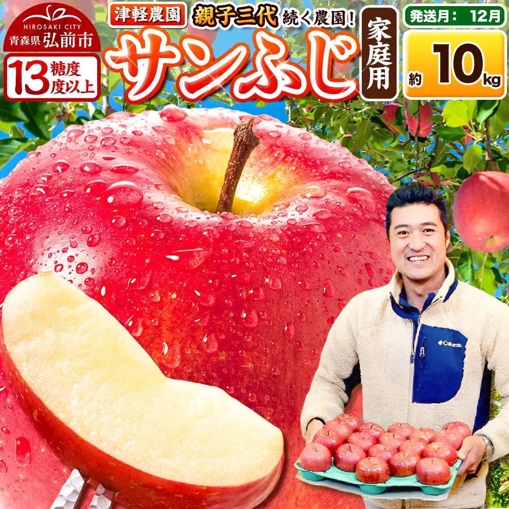 りんご サンふじ 家庭用 約10kg【12月発送】りんご
