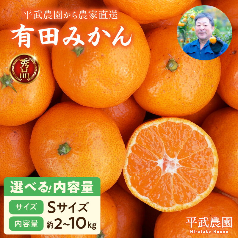 【ふるさと納税】【平武農園より農家直送！】 有田みかん Sサイズ 秀品 選べる 内容量 2kg ～ 10kg ミカン 柑橘 フルーツ 温州みかん 濃い 甘さ 酸味 濃厚 農家直送 こだわり 和歌山 有田 田口みかん 田口地区 和歌山県 湯浅町 送料無料