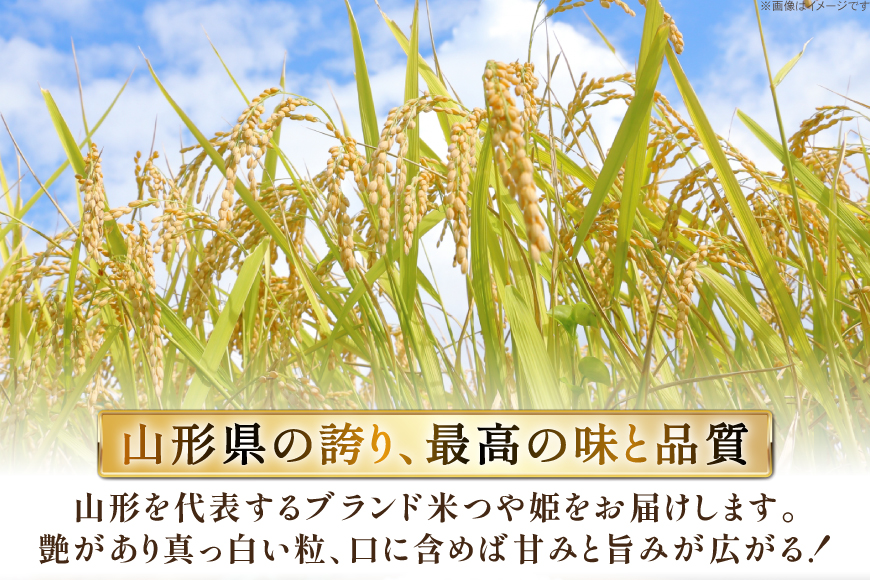 米 令和7年 特別栽培米 つや姫 5kg 2P 計 10kg [JA山形おきたま 山形県 高畠町 tk06ays870002] 5キロ 10キロ お米 ブランド米 ごはん ご飯 白米 精米 おこめ こ