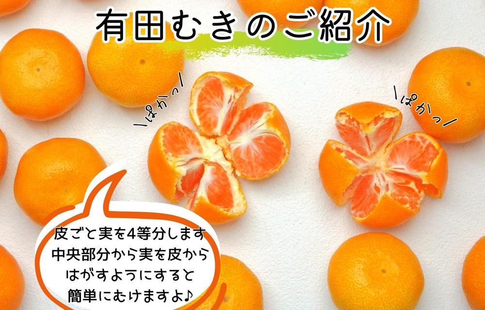 【5月下旬出荷予定】ハウスみかん 温室栽培 夏の有田みかん 1kg 秀品 S・M・Lサイズのいずれか 和歌山県 産地直送 みかんの会 AX154_イメージ5