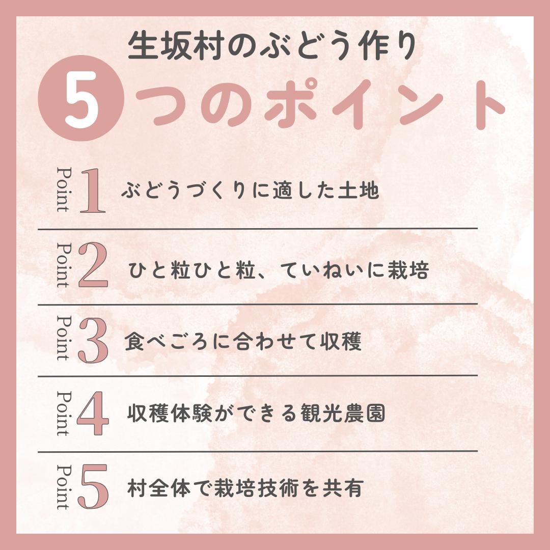 ナガノパープル　8パック（360g×4パック×2箱)