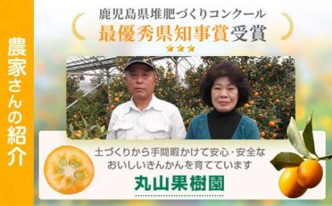 ＜先行予約受付中！2026年5月下旬より準備が整い次第順次発送＞《期間限定》鹿児島県産 丸山果樹園のパッションフルーツ (約2.2kg・12玉入り2箱)