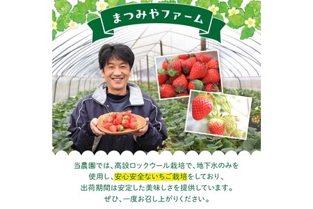 【先行予約／数量限定100】【特選】京都・まつみやファームの大粒いちご（あきひめイチゴ）15～20粒（2025年2月上旬～発送）