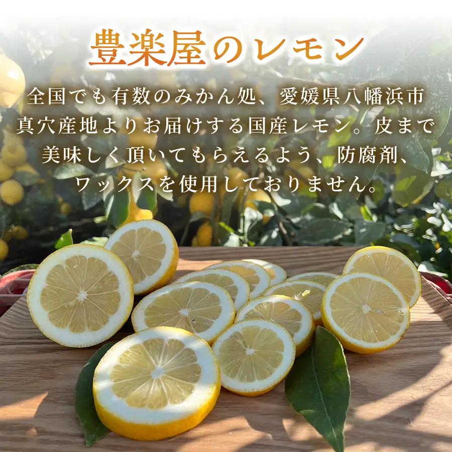 【先行受付】【防腐剤・ワックス不使用で安心】真穴産地直送のレモン 5kg×2箱(2Lサイズ大玉)【G98-11】 YWTBU011
