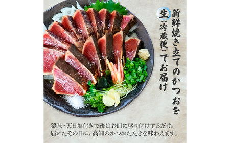 塩タタキ 田野屋塩二郎の塩×わら焼き鰹のタタキ1節【塩タタキ】
