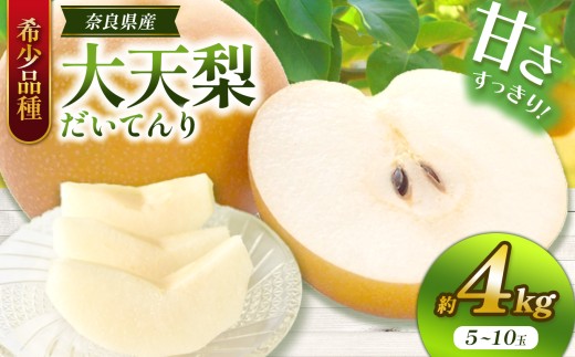 G24 大天梨 3L～8L 約4kg 5～10玉 | 果物 くだもの フルーツ 梨 大天梨 奈良県 大淀町 季節限定 産地直送 真田園 メディア紹介