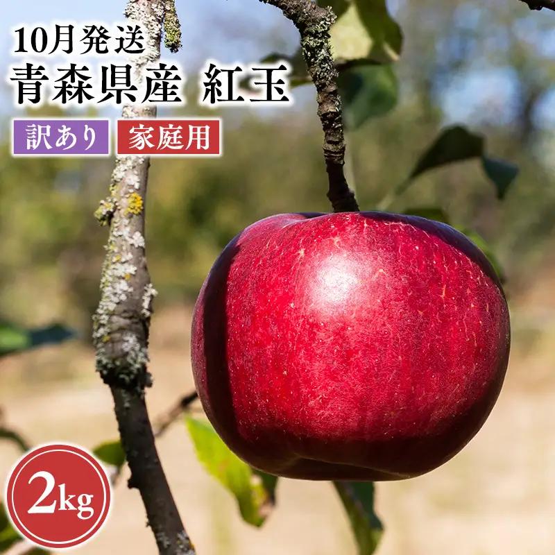 りんご 家庭用 紅玉 約2kg りんご